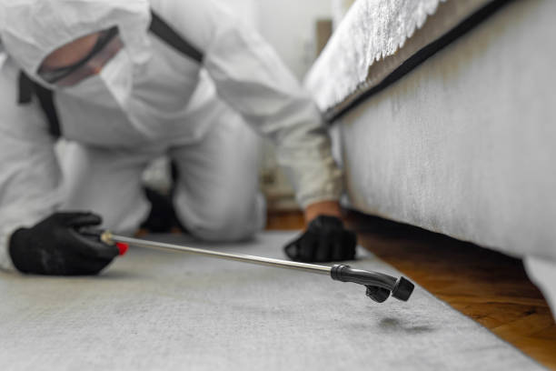Professional Pest Control technician working in Ladera Heights, CA