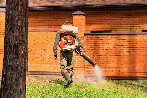 Trusted Rodent Control service in Ladera Heights, CA - Nex Pest Control